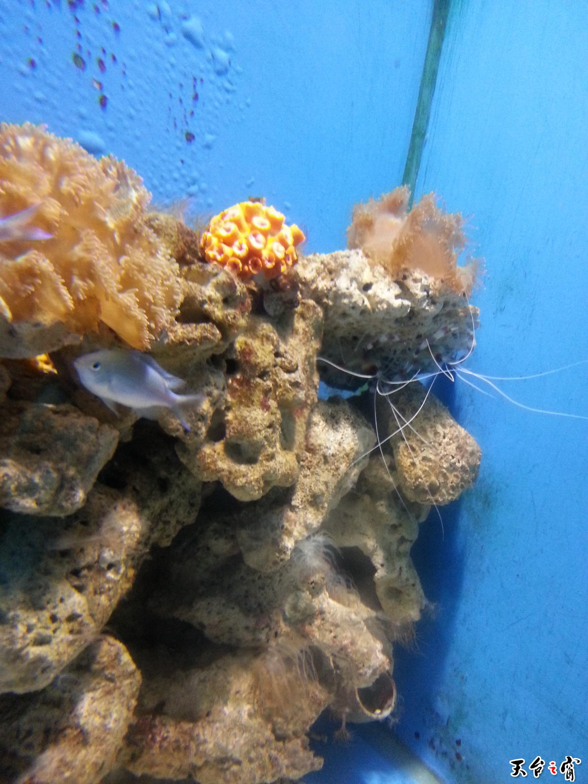 20140814_140300_调整大小.jpg