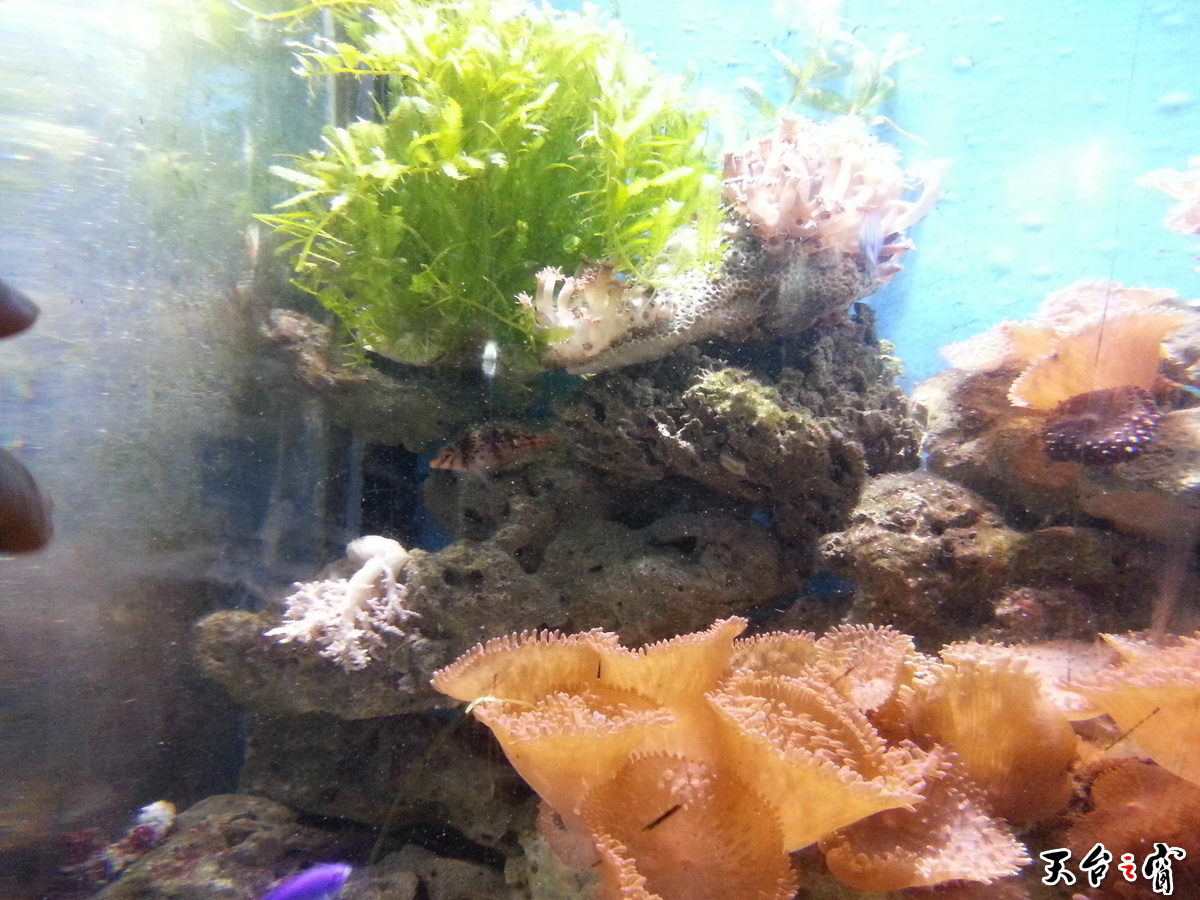 20140814_140630_调整大小.jpg