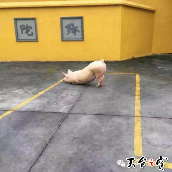 0.jpg
