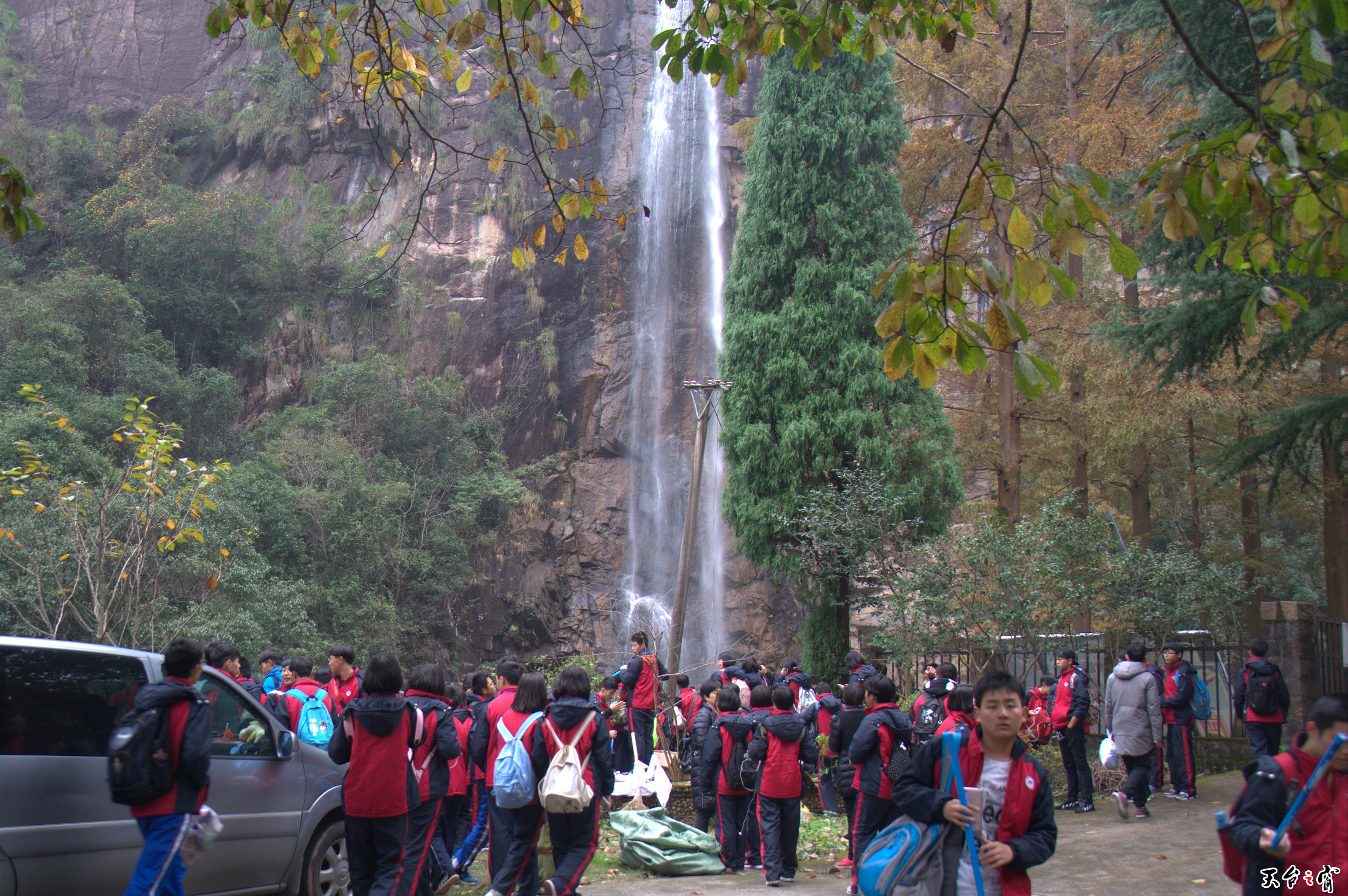 DSC09157.jpg