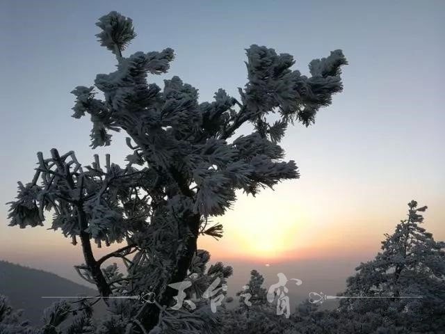 微信图片_20171218095224_副本.jpg