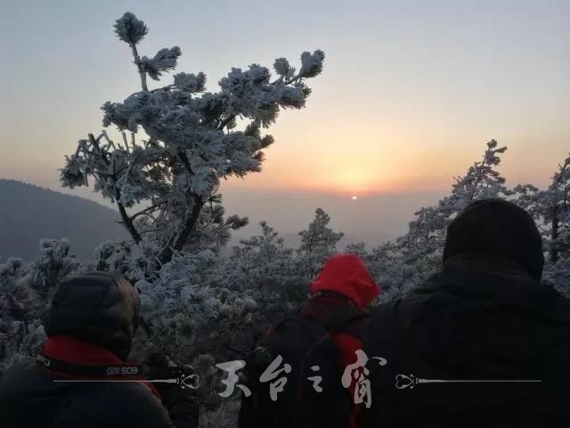微信图片_20171218095228_副本.jpg