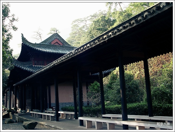 再游国清