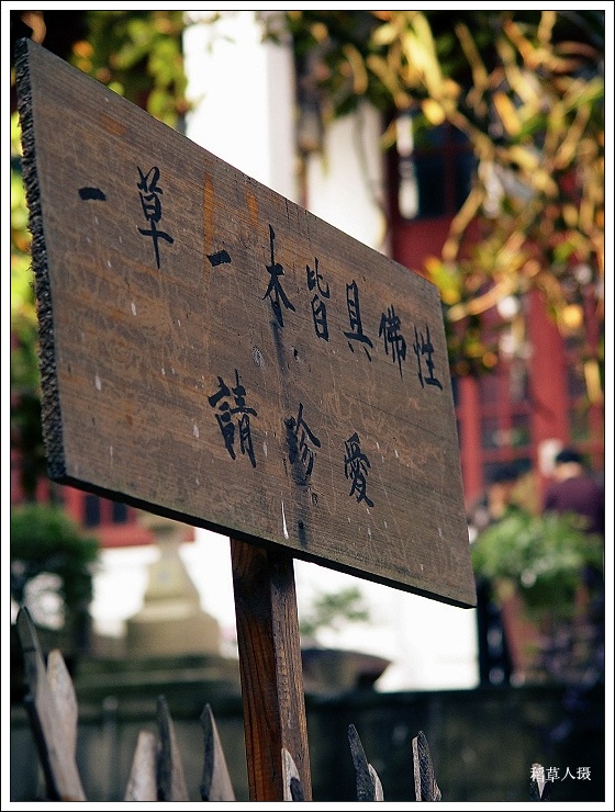再游国清
