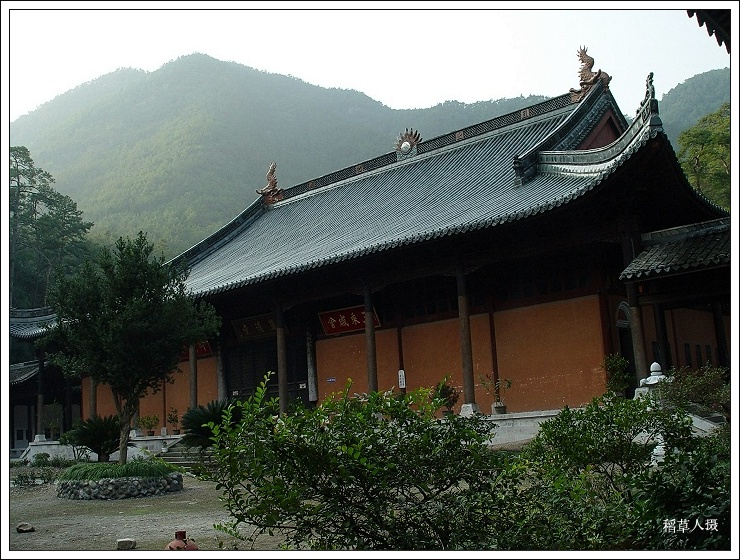 再游国清