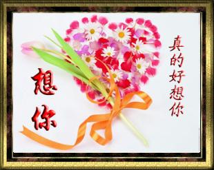 想你的时候