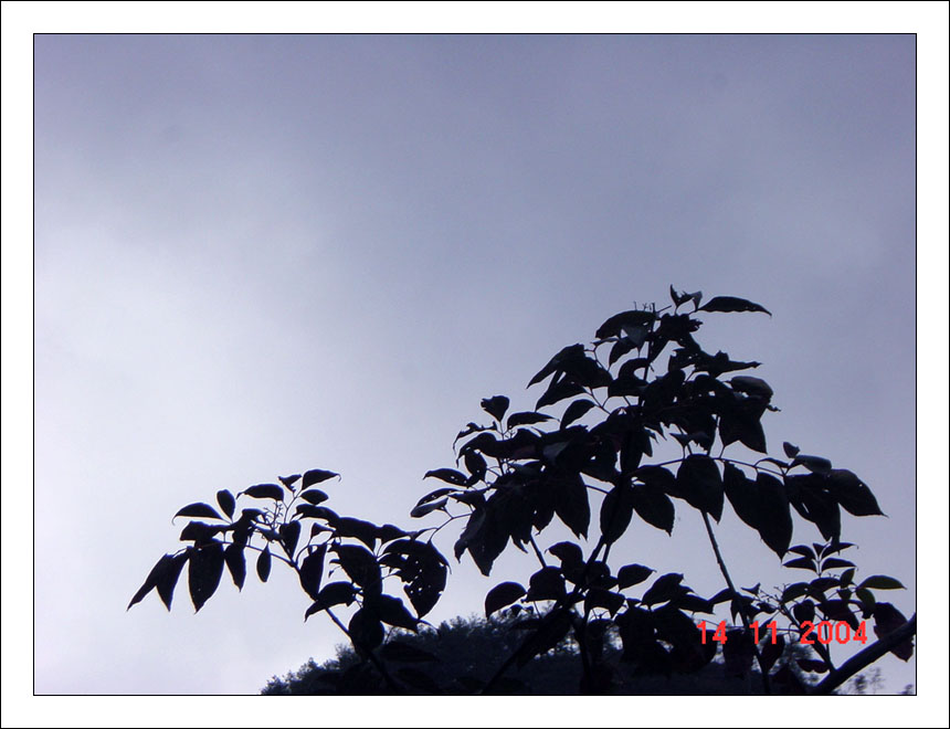 11.14天台白鹤桃源坑