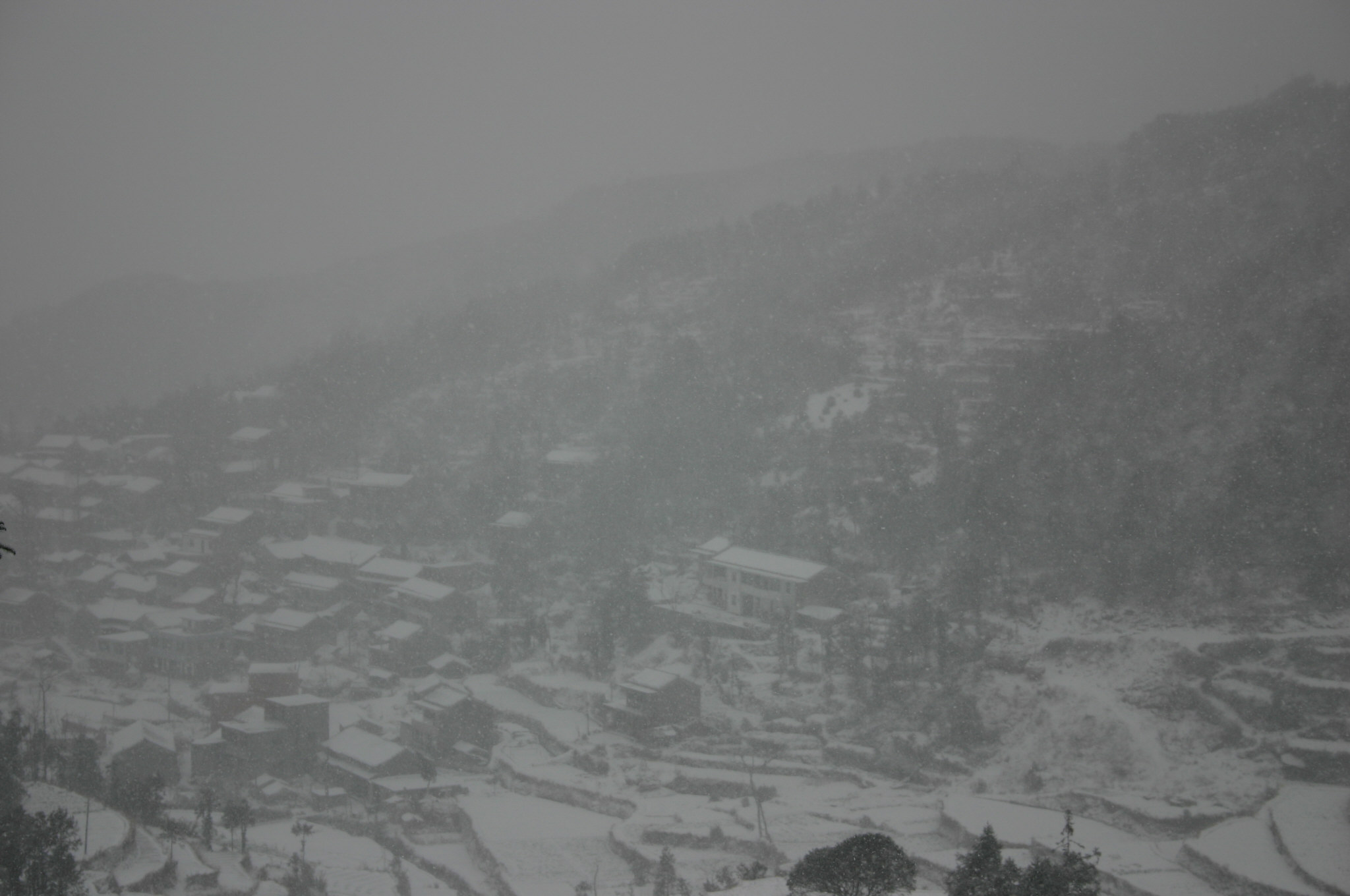 冒着生命危险拍的雪中即景