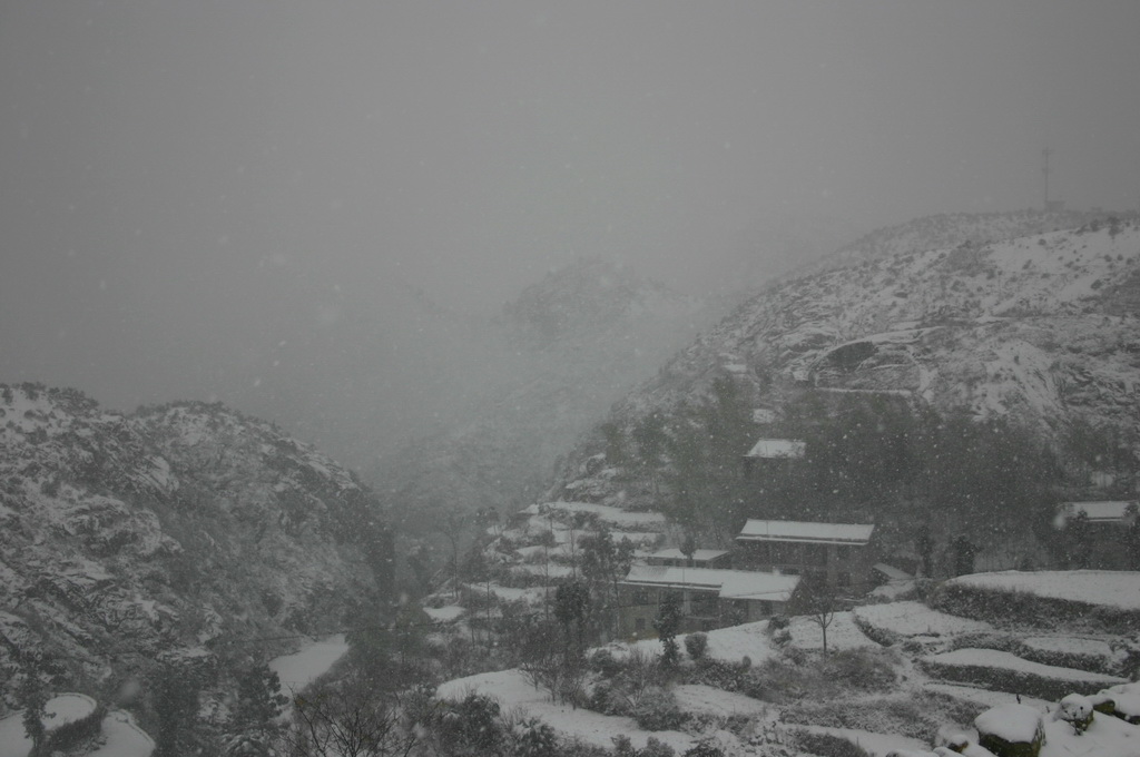 冒着生命危险拍的雪中即景