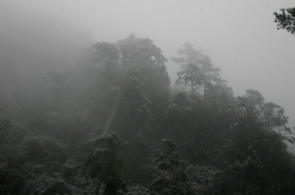 冒着生命危险拍的雪中即景
