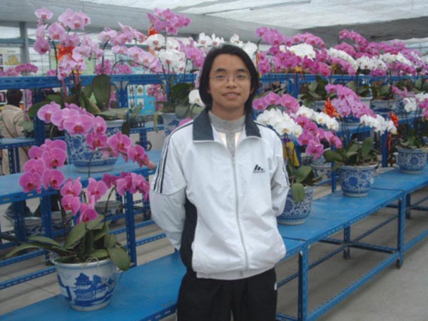 分享蝴蝶兰