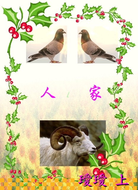 leEzyHJk.jpg