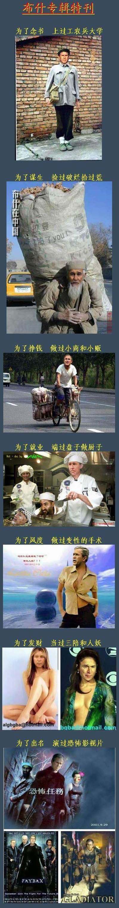 布什的一生