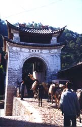 黑马兔子《中国老街》专题