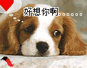 你知道我在等你吗?