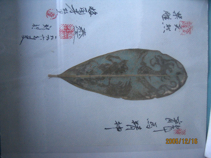 少见的树叶雕刻