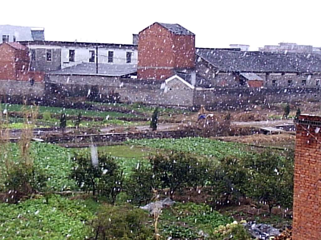 飞雪,又见飞雪