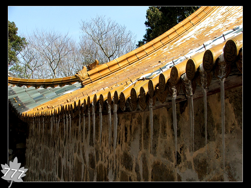 05.3.13塔头寺乱拍