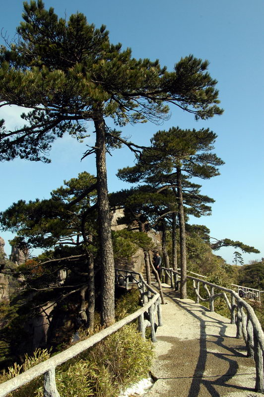 [原创]三清山风光.