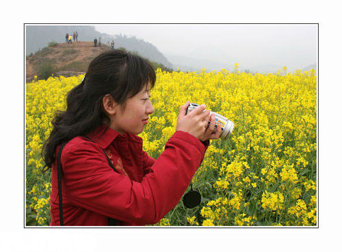 ZT云南罗平：灿灿油菜花开在春天里(图集)