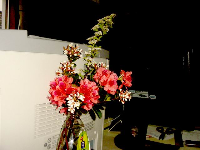 开在办公室里的鲜花