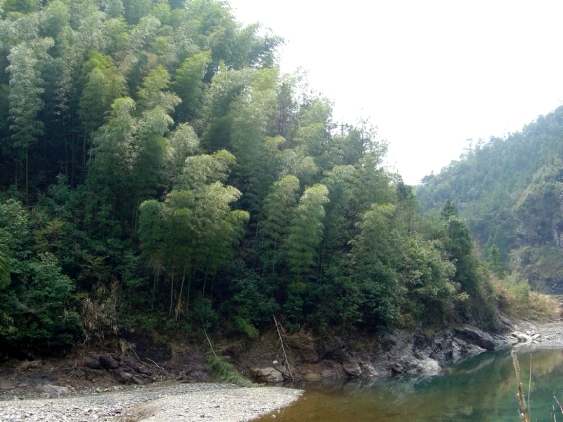 KWrMvt8N.jpg