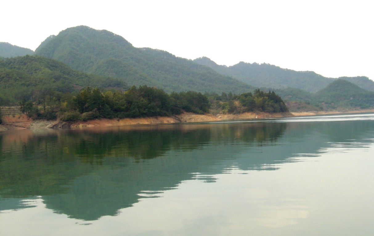 hCC0lRnP.jpg
