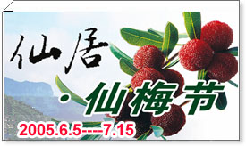 仙梅节开幕式----暨首届仙梅颂歌舞晚会