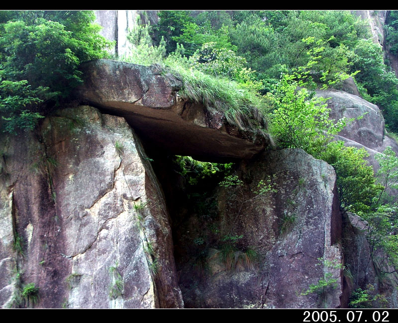 050702百丈溯源