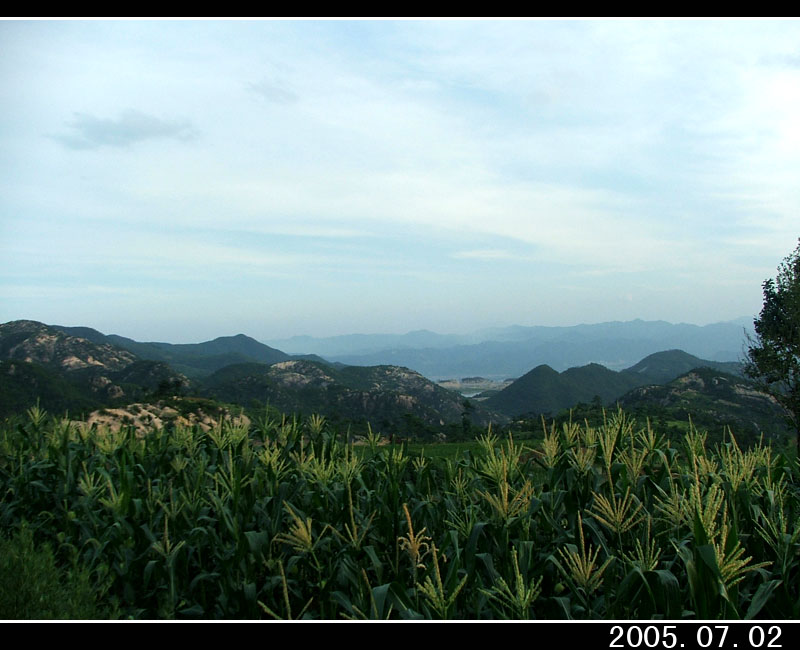 050702百丈溯源