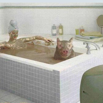 与美女共浴（少儿不宜）