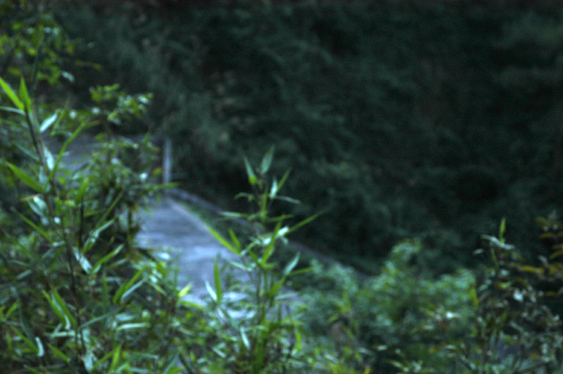 秋叶落下，我还拥有什么