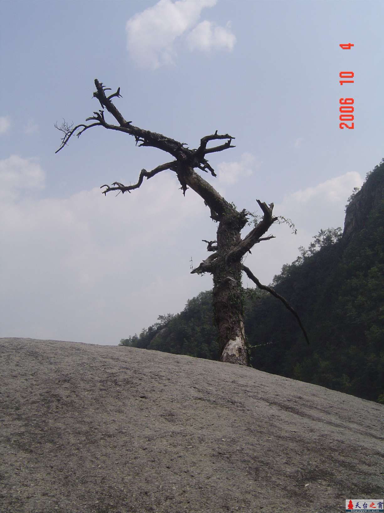 高明尼姑