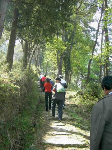 天台山发现东畚大峡谷
