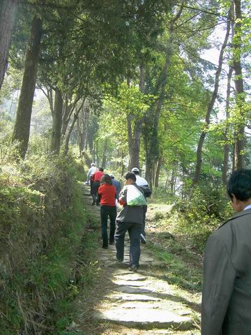 天台山发现东畚大峡谷