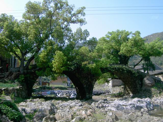 尾声