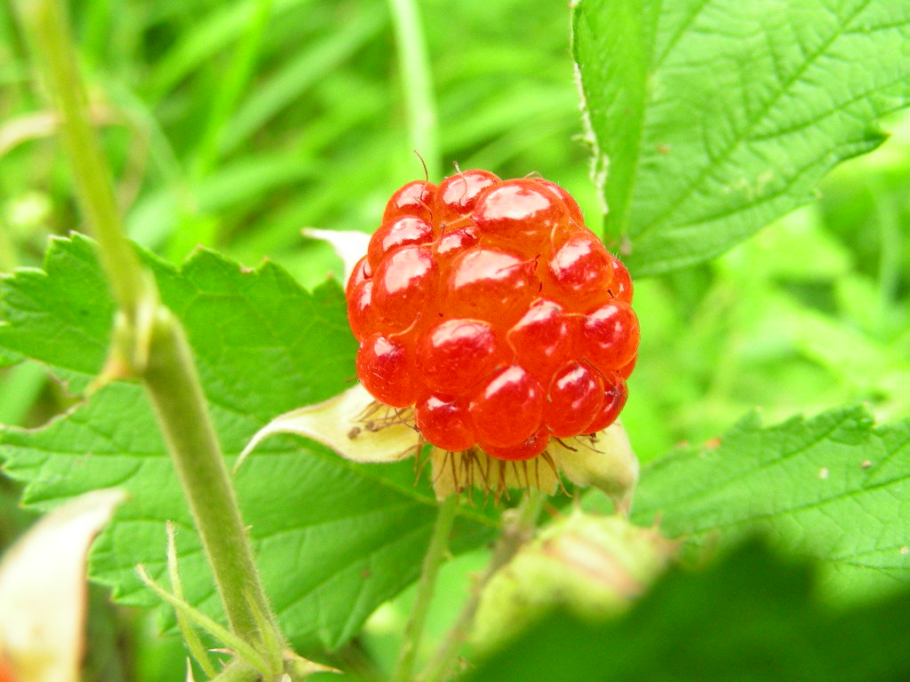 06年06月06日，百年难遇的好日子