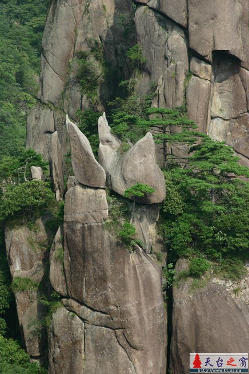 8.16-17三清山游记