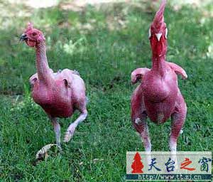 ◢◤◢◤发张全裸的＝＝＝不赶紧看就被斑竹删了啊◢◤◢◤