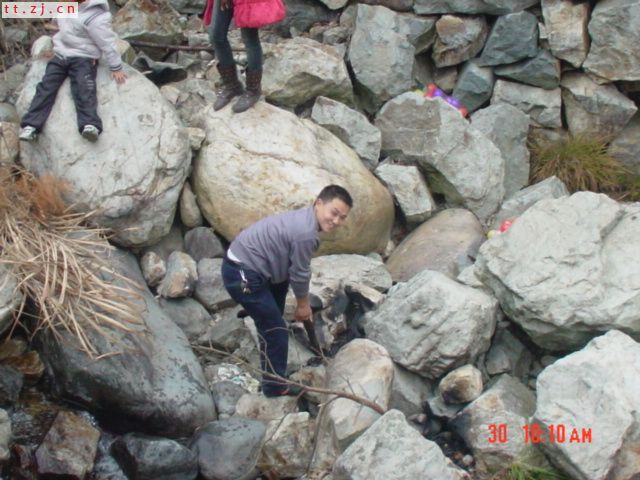 元旦活动PP............