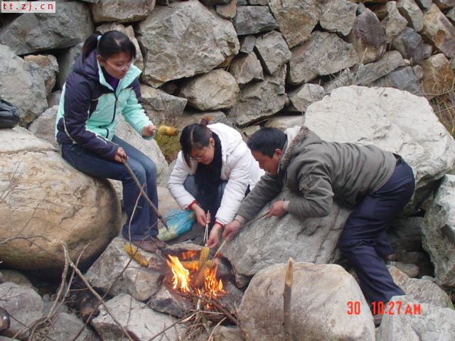 元旦活动PP............