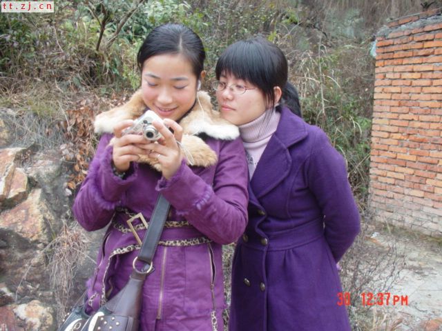 元旦活动PP............