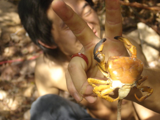 山里的照片....
