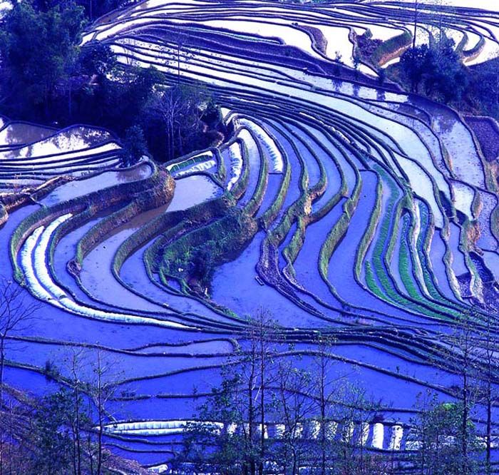 云南元阳梯田
