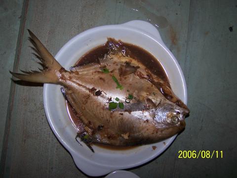 舟山朱家尖普陀山夏季渡假首选