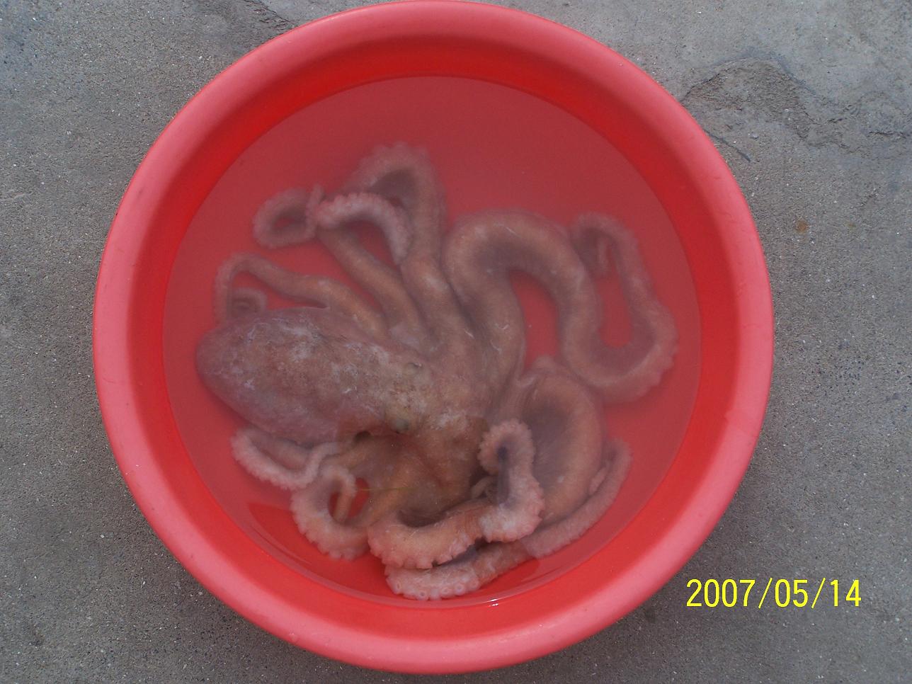 2006.7.22-23朱家尖游记
