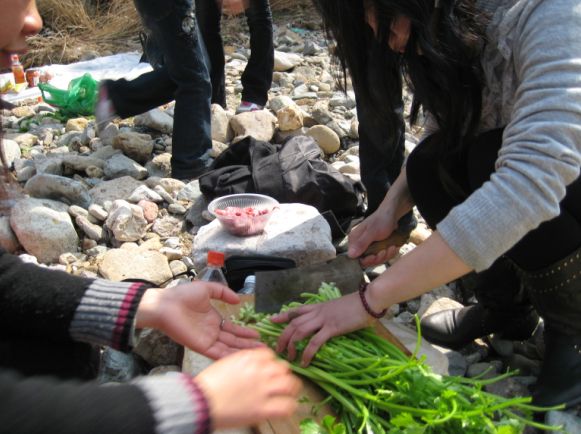 2008年3月2日.九遮山野炊照片..