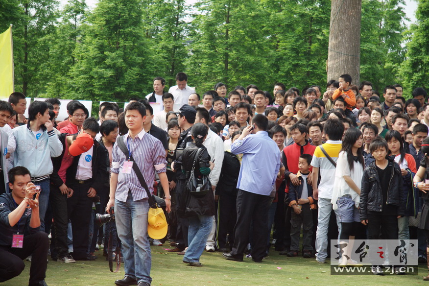 2008“相亲”大会照片