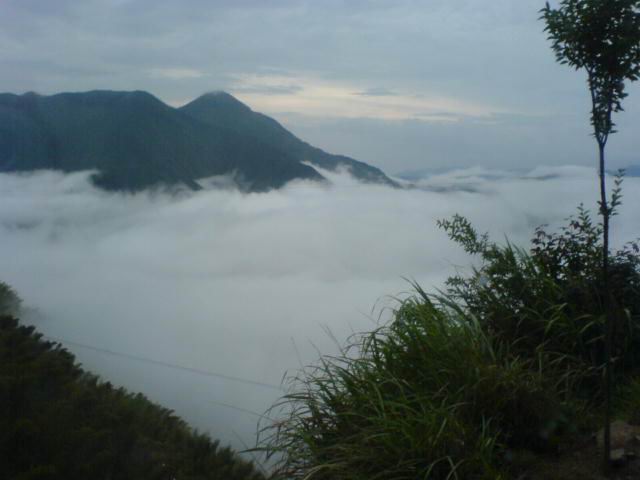 靓照