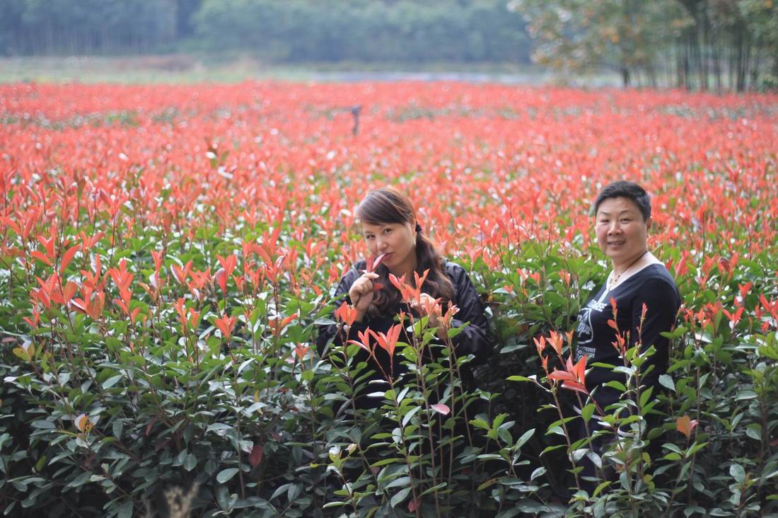 重阳节前奏——寻迹万马渡